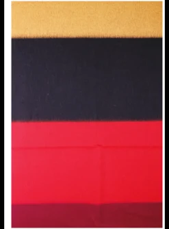 Shawl logo blokkleuren multicolor | DELSCHER. Fashion