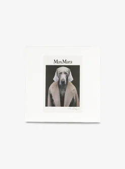 Shirt cipria wit met hond | DELSCHER. Fashion