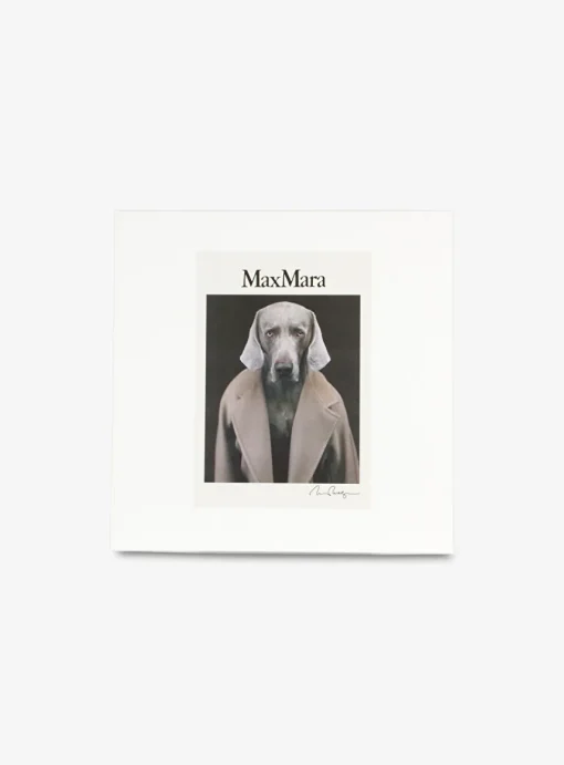 Shirt cipria wit met hond | DELSCHER. Fashion